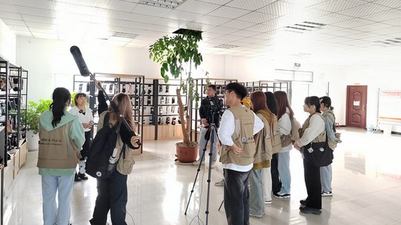 小公司VI设计，价格几何？揭秘成本构成与选择要点**
