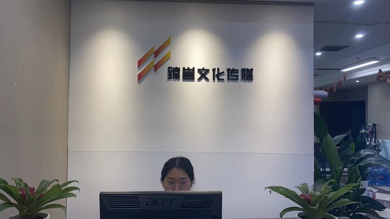 行业背景：内容为王，优质合作伙伴的重要性